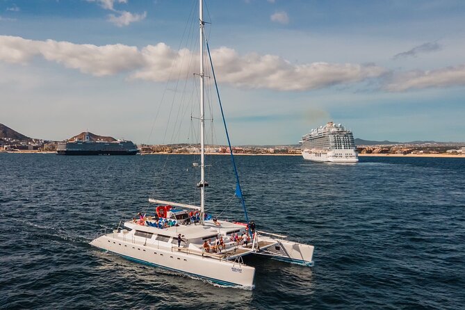 Multimillion Yacht Cabo Cruise Sunset or Snorkel Optional PICKUP! - Whale watching: the season affects what you see
