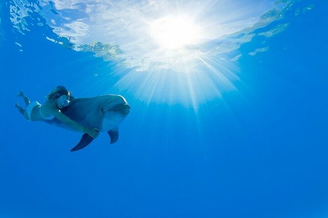 Must-DO The only and Unique Natural Space Dolphin Encounter Cabo - Key things to know before you go