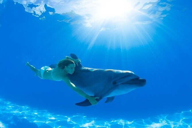 Must-DO The only and Unique Natural Space Dolphin Encounter Cabo - Why this Cabo dolphin encounter feels personal