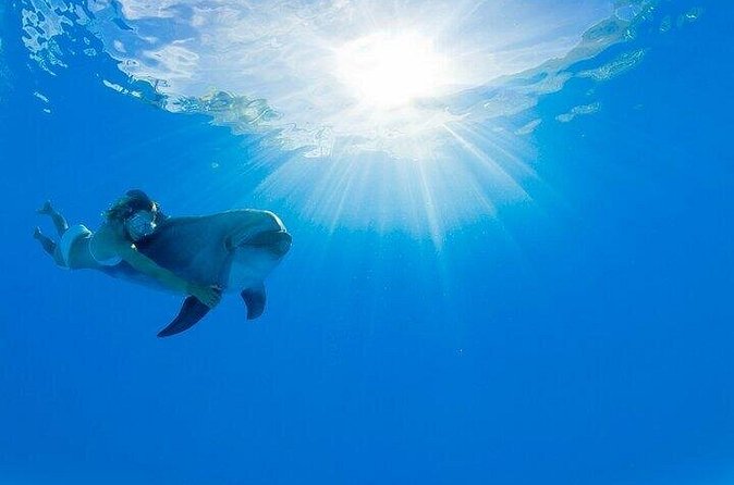 Must-DO The only and Unique Natural Space Dolphin Encounter Cabo - Price and what you might pay beyond the sticker
