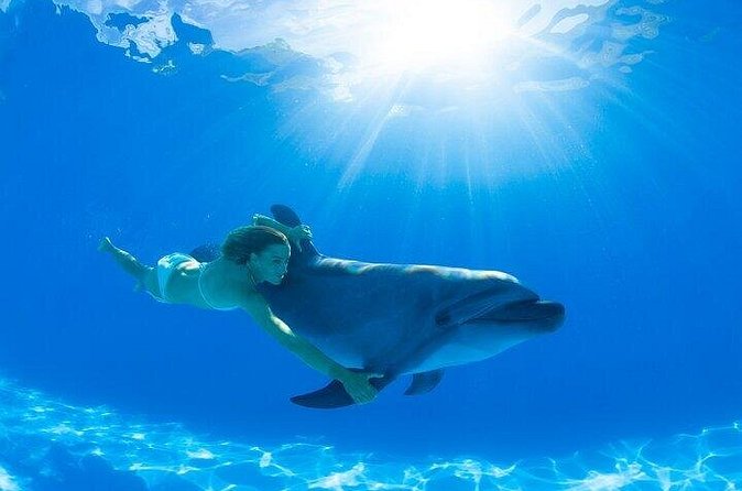 Must-DO The only and Unique Natural Space Dolphin Encounter Cabo - Booking confidence: what the operator’s setup signals