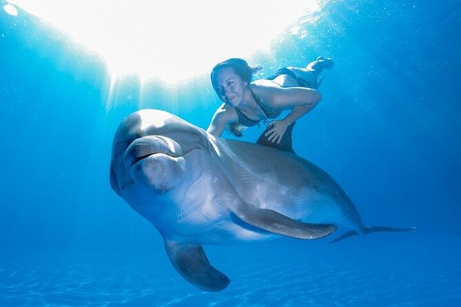 Must-DO The only and Unique Natural Space Dolphin Encounter Cabo - Your pre-encounter briefing: why instruction matters