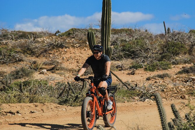 New Attraction: Guinness World Record Sky Bike in Los Cabos - Playa Migriño: long beach time with sunsets and winter whale chances