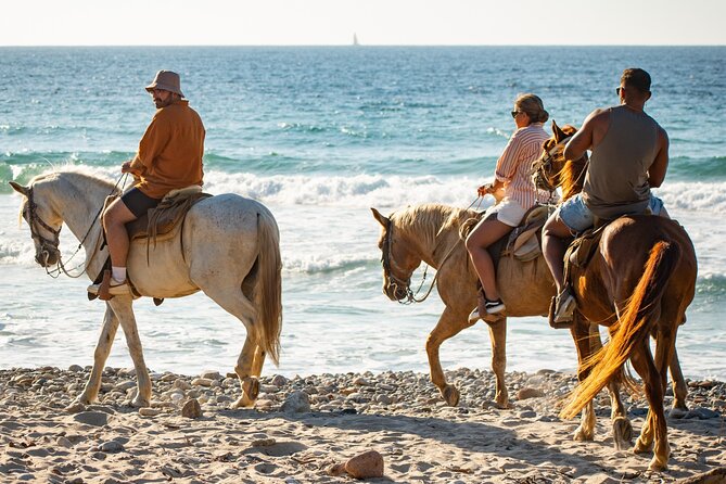 NEW!! Combo ATV & Horseback Ride. Beach & Desert. Tequila Tasting - Should you book the Combo ATV & Horseback Ride to Playa Migrino?