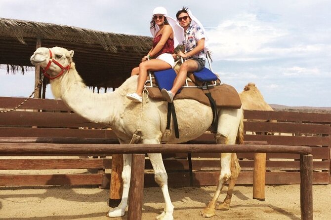 NEW! Combo Camel Beach Ride and UTV 4X4 Cabo Adventure, Tequila & - Key highlights worth knowing before you go