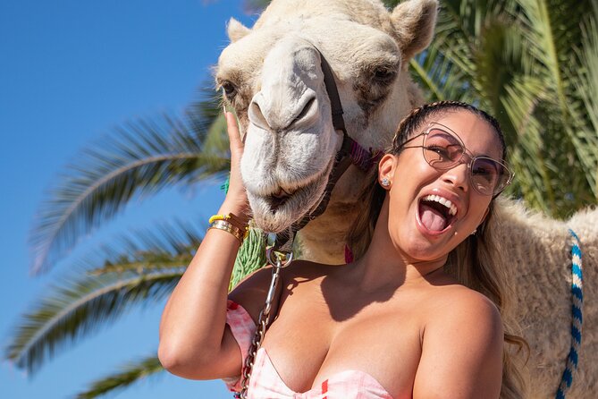 NEW! Combo Camel Beach Ride and UTV 4X4 Cabo Adventure, Tequila & - Camel safari on Migriño Beach: calm first, then chaos
