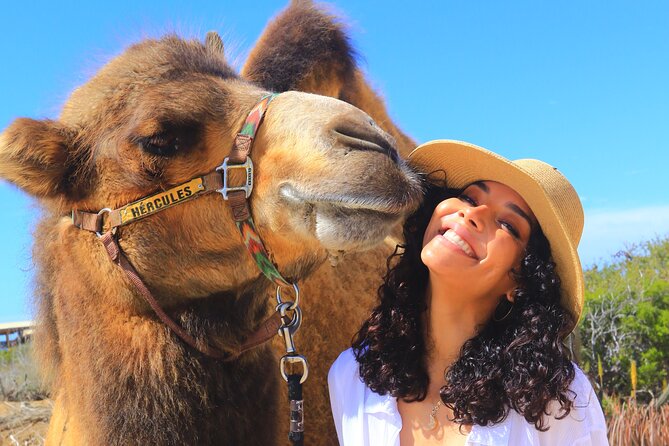 NEW! Combo Camel Beach Ride and UTV 4X4 Cabo Adventure, Tequila & - Guides and vibe: why Eduardo, Rudy, Billy, and Baltazar get name-checked