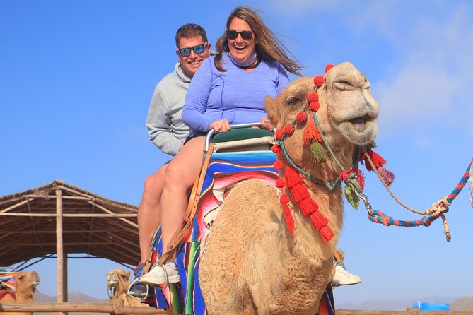 NEW! Combo Camel Beach Ride and UTV 4X4 Cabo Adventure, Tequila & - Price and logistics: does $118 feel fair in the real world?