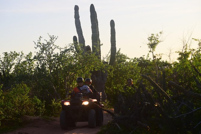 New!!! Extreme Beach & Desert Off-Road Atv Experience… - Desert tracks and the hidden cactus stop you’ll remember