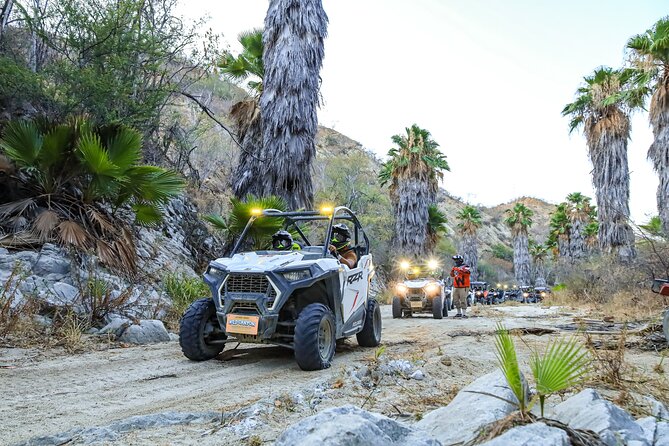 Night Ziplines & UTV Adventure + Mexican Parrillada - Who Should Book This Night Zip Line and UTV Combo?