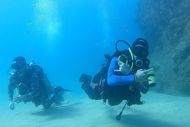 Non-Certified Diving Adventure in Cabo San Lucas - Key Things I’d Circle Before You Go