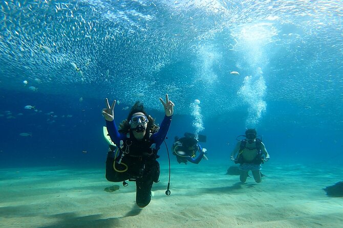 Non-Certified Diving Adventure in Cabo San Lucas - Getting There: What the Cabo Meeting Point Means for Your Morning