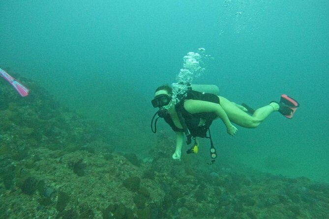Non-Certified Diving Adventure in Cabo San Lucas - Gear, Wetsuit, and the Stuff You Do Not Have to Worry About