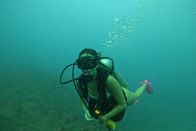Non-Certified Diving Adventure in Cabo San Lucas - After the Water: The El Arco and Bay View Loop