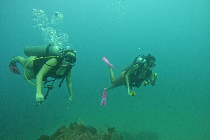 Non-Certified Diving Adventure in Cabo San Lucas - Who Should Choose This Non-Certified Scuba Experience