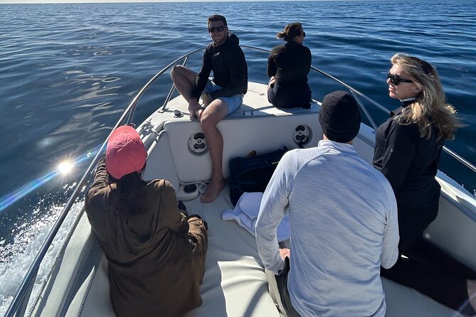 Ocean Safari in San Jose del Cabo - Crew Support on the Water: Comfort and Confidence Count