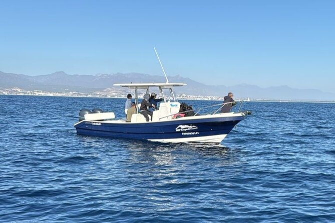 Ocean Safari in San Jose del Cabo - Price and Value: Why $200 Can Make Sense