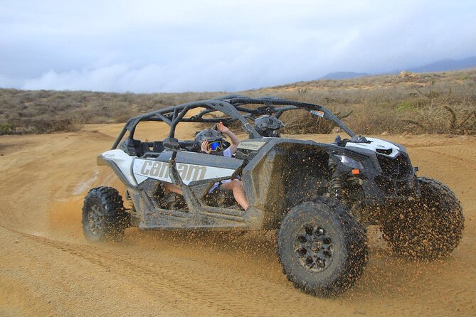 Off-Road Cabo Adventure: Beach and Desert Ride, Tequila Tasting - Should You Book Off-Road Cabo Adventure?
