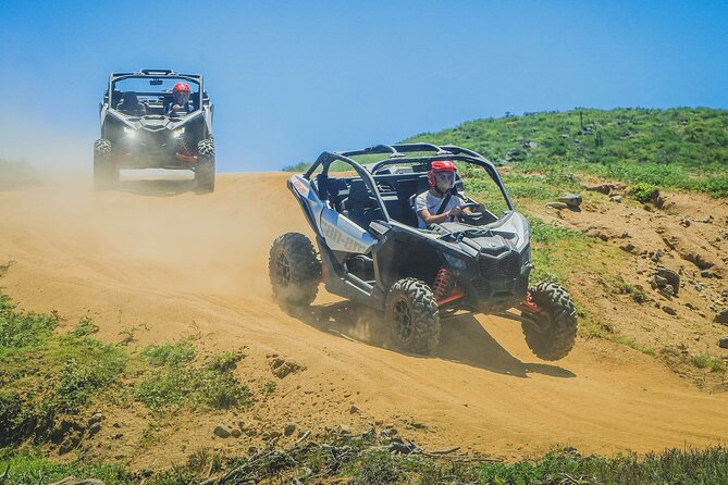 Off-Road Cabo Adventure: Desert & Beach Ride Plus Tequila Tasting - The Tequila Tasting Part: What to Confirm Before You Pay