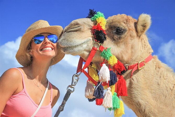 Outback Camel Ride - Key things to know before you go