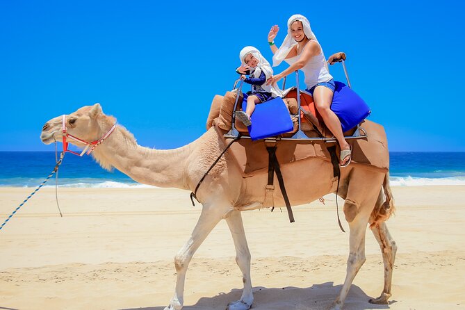 Outback Camel Ride - Cabo Camel Ride at Rancho Tierra Sagrada, the big picture