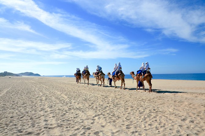Outback Camel Ride - Tortillas, buffet lunch, and tequila and mezcal tasting