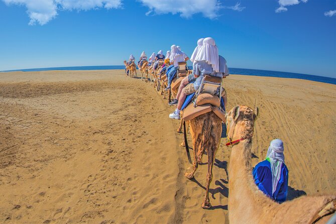 Outback Camel Ride - Comfort and safety notes for the Baja desert ride