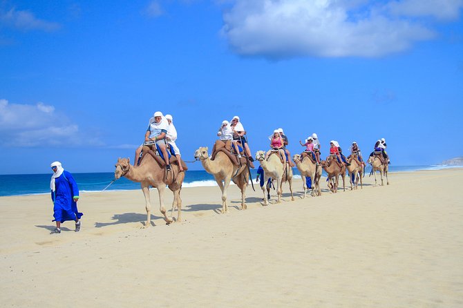 Outback Camel Ride - Should you book the Outback Camel Ride in Cabo San Lucas?