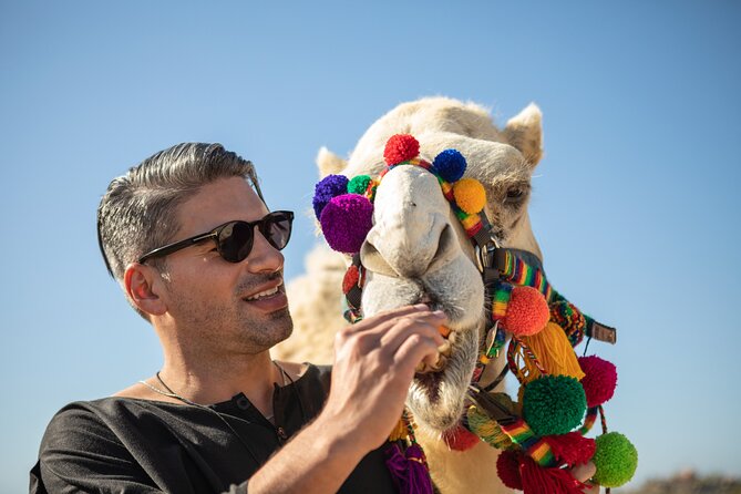Outback Camel Ride - FAQ