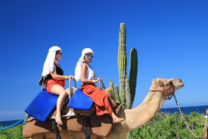 Outback Camel Ride - From pickup to Playa Migrino: how the day flows
