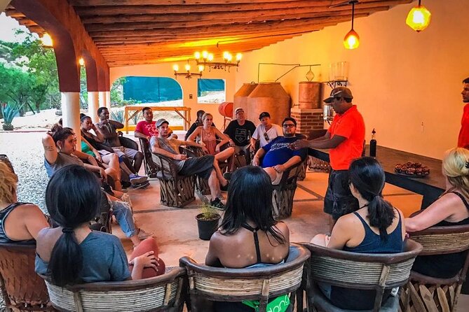 Outdoor and Zipline Adventure in Baja California - The repelling bonus that makes it feel like more than ziplining