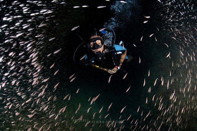 PADI Open Water Course in Cabo San Lucas - Key Highlights Worth Paying Attention To