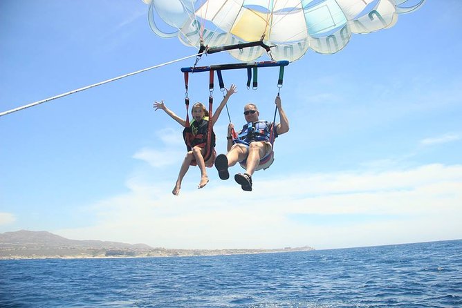Parasailing Los Cabos Adventure - Wildlife and Surprise Moments You Might See Over the Water