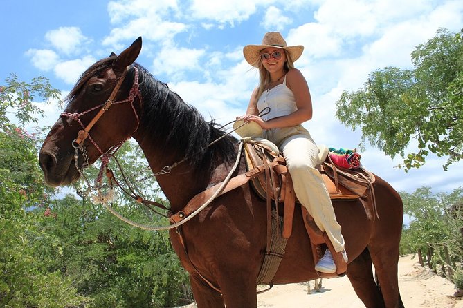 Park Pass at Wild Canyon One Place, Many Adventures - Zip Lines in the Cabo Canyon: Unlimited, but Not Always in One Shot