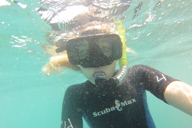 Pelican Rock Snorkeling and Sightseeing Adventure - What to Bring (So the Day Goes Smooth)