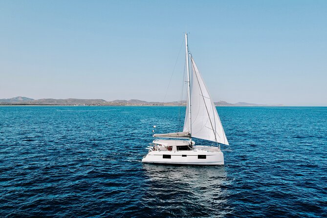 Platinum Snorkel Tour - Whale watching on the Sea of Cortez, with real odds for sightings