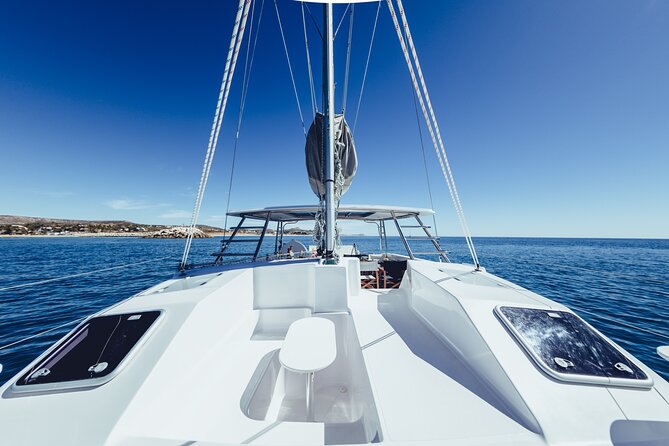 Platinum Snorkel Tour - Weather, timing, and whale odds: how to set expectations