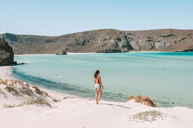 Playa Balandra Beach with La Paz Guided Tour! La Paz Round Trip - Hotel pickup at 8:00 and how to start the day smoothly