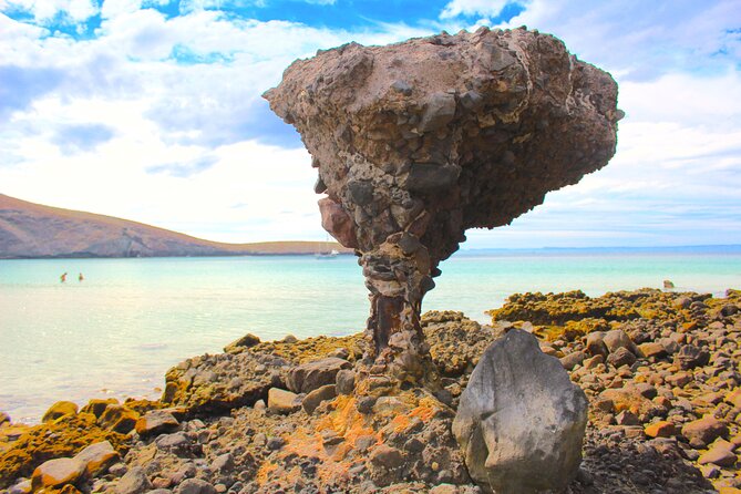 Playa Balandra Beach with La Paz Guided Tour! La Paz Round Trip - Backup beach or the real Balandra, either way you get coast time