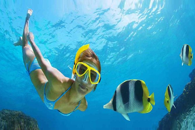 Private 3-Hour Snorkeling Tour with Arch Tour and Beach Time - Getting To Dock 1 Without Wasting Vacation Time
