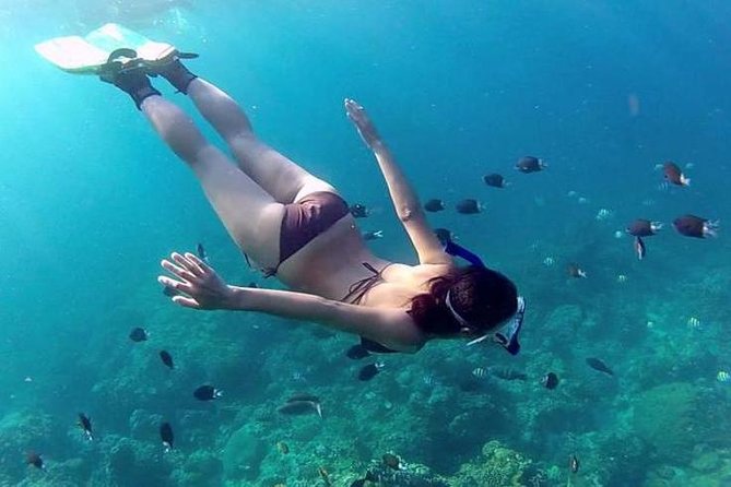 Private 3-Hour Snorkeling Tour with Arch Tour and Beach Time - Snorkeling at Pelican Rock and Cabo’s Fish Spots