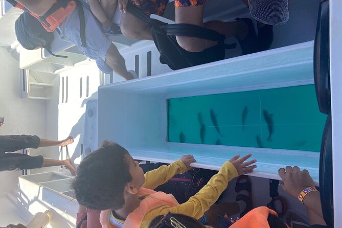 Private 3-Hour Snorkeling Tour with Arch Tour and Beach Time - Captain Veymar’s Role: More Than Just Driving the Boat