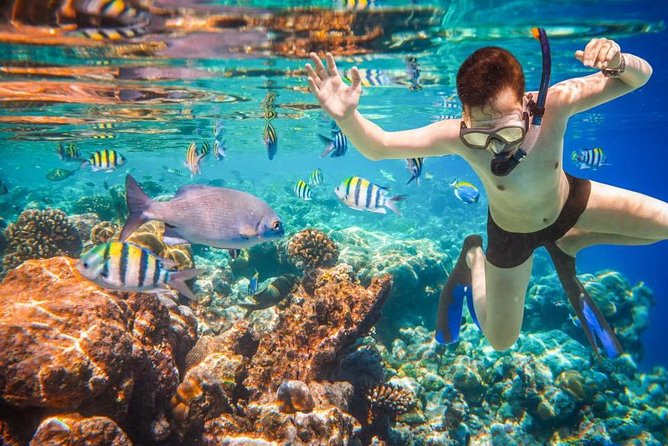 Private 3-Hour Snorkeling Tour with Arch Tour and Beach Time - What to Pack for a Comfortable Snorkel and Beach Gap
