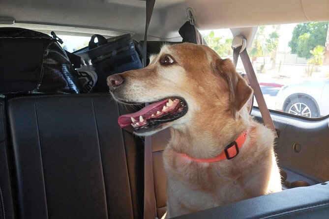 Private Airport Transportation in Cabo San Lucas - The little extras: bottled water and free proprietary photography