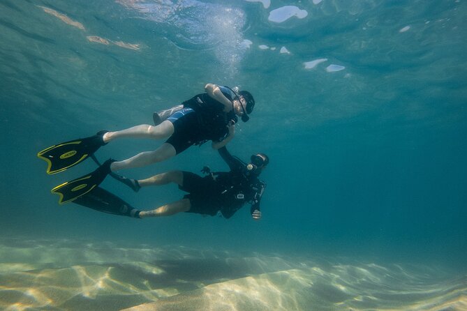 Private Beginner Scuba Diving Experience in Cabo San Lucas - How your Cabo session really starts: gear, timing, and calm coaching