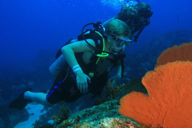 Private Beginner Scuba Diving Experience in Cabo San Lucas - Included extras that make the session feel easy
