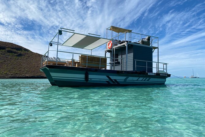 Private Cabo 35ft cat experience Food and open bar included! - Pelican Rock, where the fun tools come out