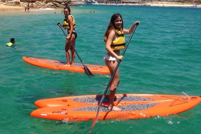 Private Cabo 35ft cat experience Food and open bar included! - Sea lions, and the wildlife angle that adds real wow