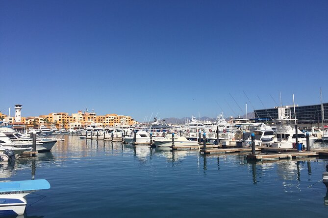 Private Cabo City Tour & Relaxing Beach Day Experience - Tequila tasting at Tequila Lighthouse: what you should notice in 15 minutes