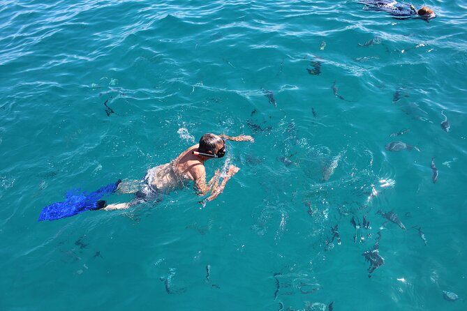 Private Cabo City Tour & Relaxing Beach Day Experience - Who should take this private Cabo tour, and who might pass